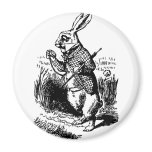 White Rabbit Magnets
