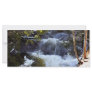 White Rapids Full Color Rack Card