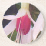 White Raspberry Fuchsia Drink Coasters