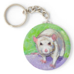 White rat cute colourful acrylic painting pet rats