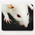 White Rat mousepads