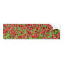 White Red clover flowers Bumper Sticker