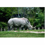 White Rhino photo sculptures