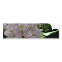 White Rhodendrons Bumper Sticker