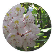 White Rhodendrons Sticker