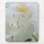 White Rhododendron | Weisse Rhododendron Mouse Pad