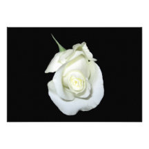 White Rose #1 Personalized Invites