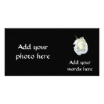 White Rose #1 photo cards