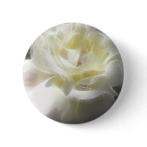White Rose 2 Macro Angelic