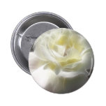 White Rose 2 Macro Angelic Pinback Buttons