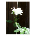 White Rose ACEO Business Card Template