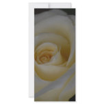 White Rose and meaning Custom Rack Card