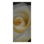 White Rose and meaning Custom Rack Card