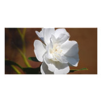 White Rose and meaning Personalised Photo Card