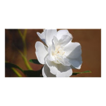 White Rose and meaning Personalised Photo Card