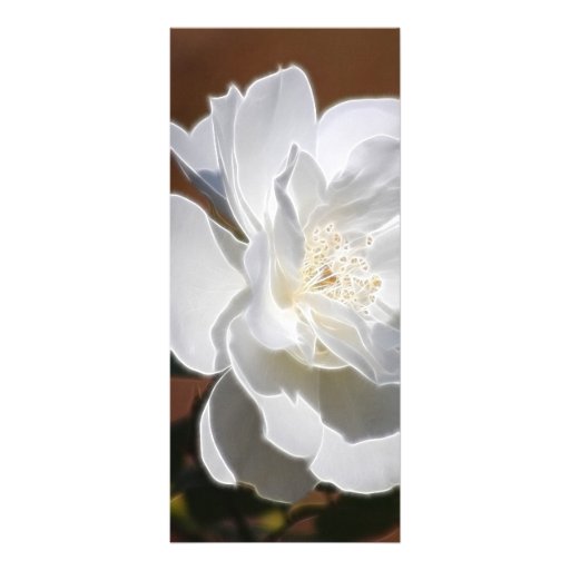 White Rose and meaning Rack Card Template