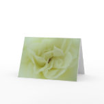 White Rose - Angel's Heart Cards