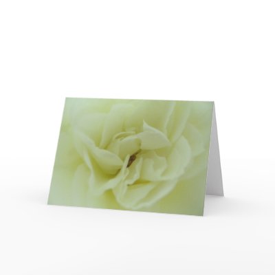White Rose - Angel's Heart Cards by Heartworks