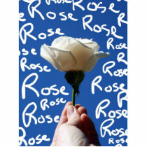 White rose, blue back, Rose written in white Photo Sculpture