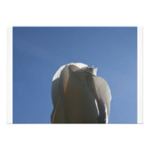 White rose bud backlit against blue sky personalized invitations