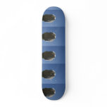 White rose bud backlit against blue sky custom skateboard