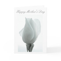 White rose bud ... Mother's day card