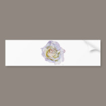 White Rose bumper stickers