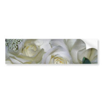 White Rose_