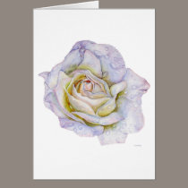 White Rose cards