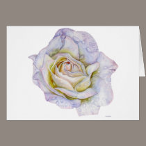 White Rose cards