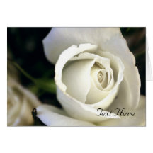 White Rose Card