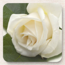 White Rose Coasters
