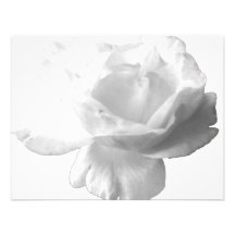 White Rose Design Personalized Invites