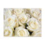 White Rose Elegance Post Card