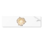 White Rose exclusive design!