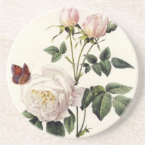 white  rose  flowers, Pierre Joseph Redouté Drink Coaster