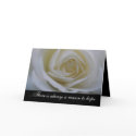 White Rose Hope Inspirational Greeting Card
