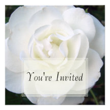 White Rose Invitations