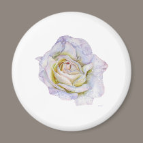 White Rose magnets