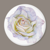White Rose magnets