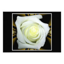White Rose on Black and Gold Background Custom Invite