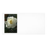 White rose customized photo card