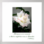 White Rose Poster/Print