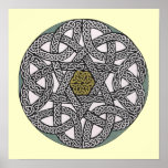 White Rose print