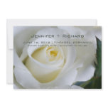 White Rose • Save the Date Announcement invitations