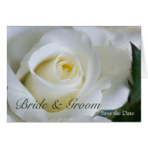 White Rose • Save the Date Card