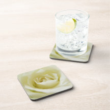 White Rose Set of Coasters