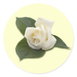 White Rose Sticker