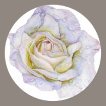 White Rose stickers