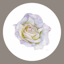 White Rose stickers